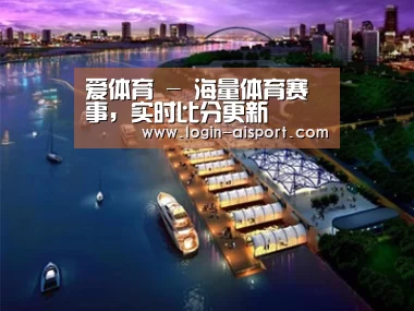 案例展示八
