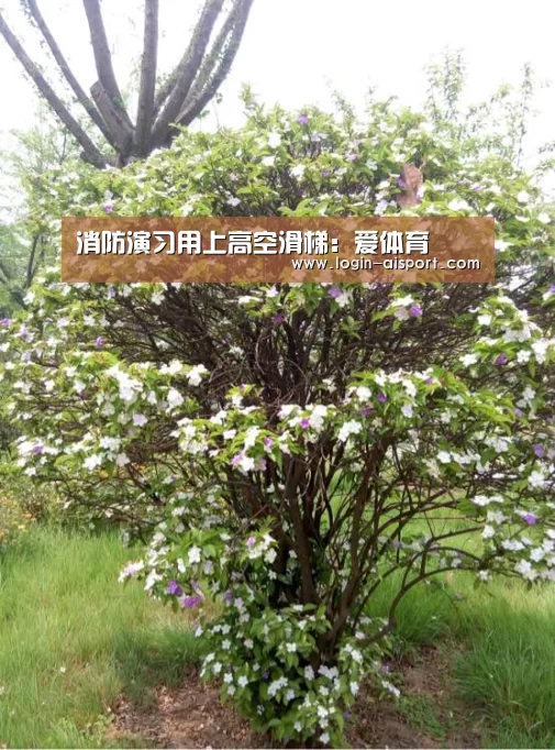 消防演习用上高空滑梯:爱体育(图2) 爱体育